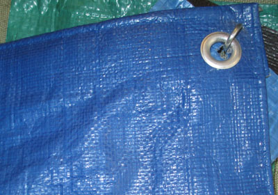 ������ ��� ��������